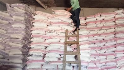 تحرير 59 مخالفة مخابز وضبط 10 أطنان دقيق وفول مجهول المصدر بالقليوبية 