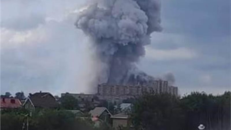 بوابة روز اليوسف