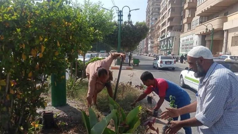 حملات نظافة وزراعة