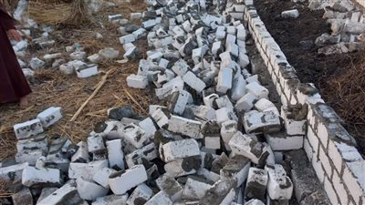 إزالة 16 حالة تعدٍ على الأراضي الزراعية وأملاك الدولة بالبحيرة