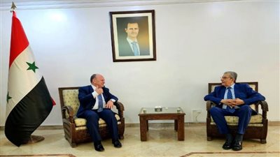 سوريا والجزائر تبحثان سبل تطوير التعاون في مجال التعليم العالي والبحث العلمي