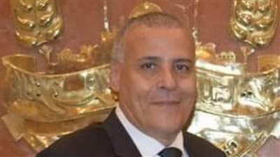 ممثل غرفة القاهرة باتحاد الغرف التجارية: الفترة المقبلة تتطلب فكرًا خارج الصندوق لتقديم الخدمات