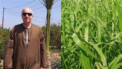 نقابة الفلاحين والمنتجين الزراعيين تطالب بالتوسع في زراعة 