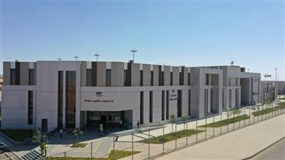 عاجل.. ولد عملاقًا في قلب الصحراء  (فيديو وصور)