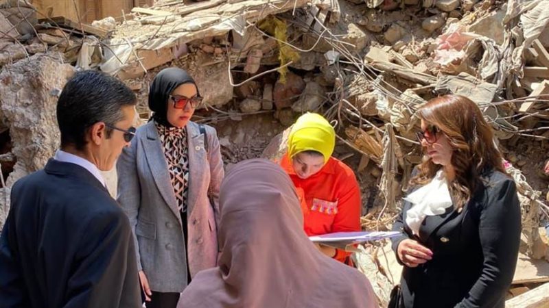 النيابة الإدارية