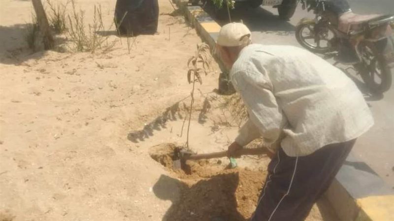 زراعة الأشجار المثمرة