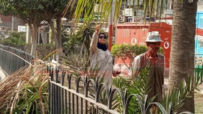 إطلاق حملة نظافة موسعة وتهذيب أشجار نخيل الزينة ببيلا