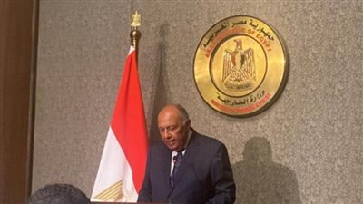 لجنة الاتصال العربية: الحل السياسي هو الطريق الوحيد لإنهاء الأزمة السورية