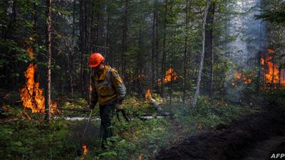 اليابان تقدم مساعدات بقيمة مليوني دولار إلى هاواي بعد أضرار حرائق الغابات