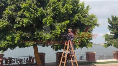 حملات نظافة ورصف طرق وتسليك خطوط الصرف وأعمال تطوير بكفر الشيخ