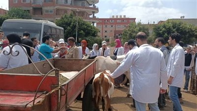 علاج 85 حالة بقافلة بيطرية فى طوخ