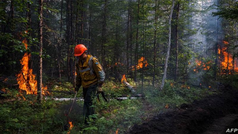 حرائق الغابات