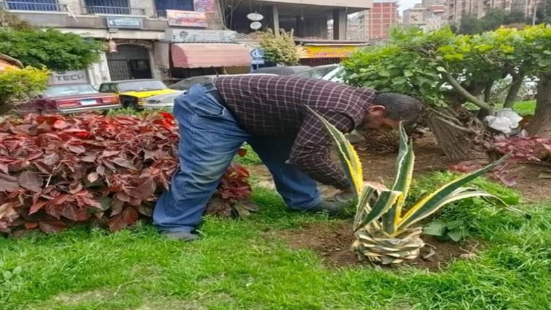 بوابة روز اليوسف