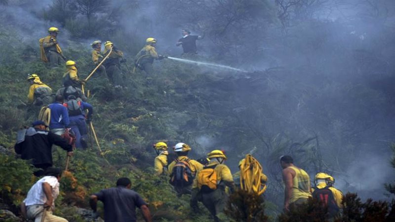 حرائق الغابات