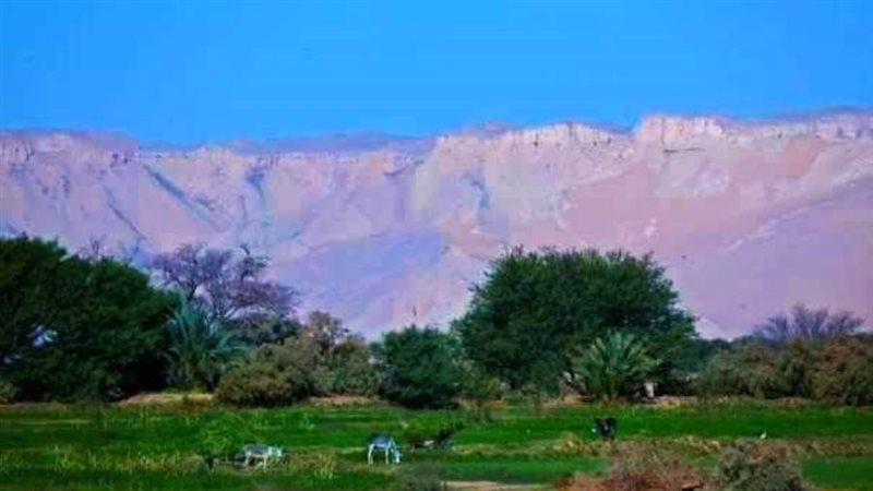 مشروع الجذب السكاني