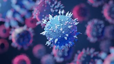 عاجل.. مستشار رئيس الجمهورية يكشف حقيقة وجود المتحور 