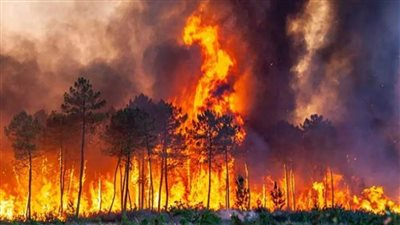 إسبانيا تواجه أسوأ موجة لحرائق الغابات في تاريخها