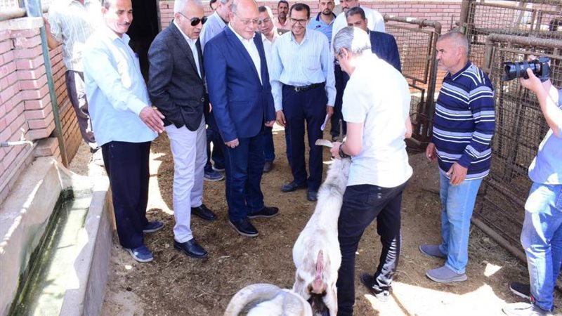 جانب من الزيارة