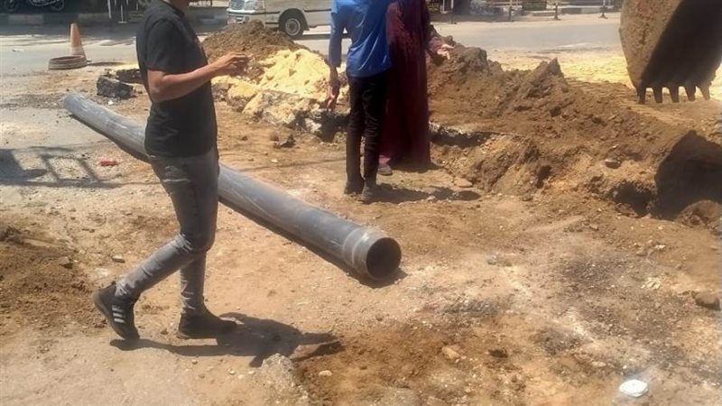 بوابة روز اليوسف