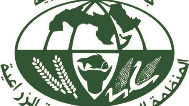 المنظمة العربية للتنمية