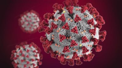 عاجل.. الصحة تعلن عن أول إصابتين بمتحور كورونا 