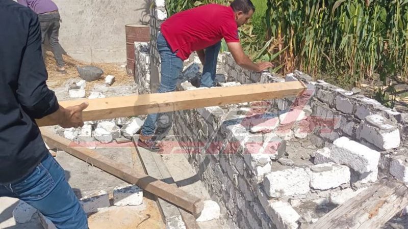 إزالة التعديات