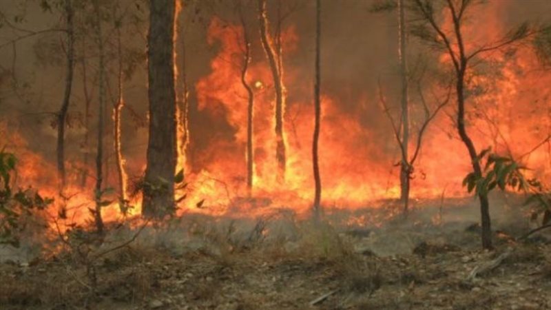 صوره ارشفيه