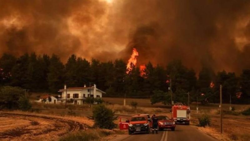 حرائق الغابات