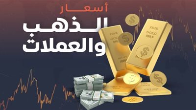 عاجل| سعر الدولار يستقر بـ