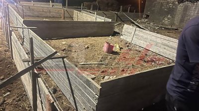 حملات لإزالة التعديات على الأراضي الزراعية والإشغالات بعدد من مراكز كفر الشيخ