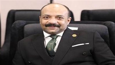 اقتصادية حماة الوطن: عضوية مصر في بريكس تضمن توافر السلع الاستراتيجية وتدعم التصدير