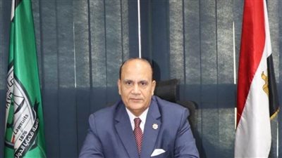 المستشار محمد حسن نائب رئيس الهيئة أمينًا عامًا لقضايا الدولة 