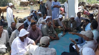 زراعة البحيرة تنفذ ندوات إرشادية للنهوض بمحصول القطن