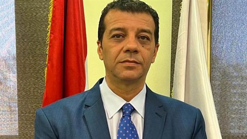 المستشار وليد حمزة