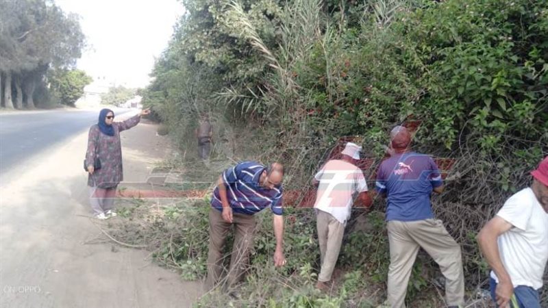 الحملات المكبرة