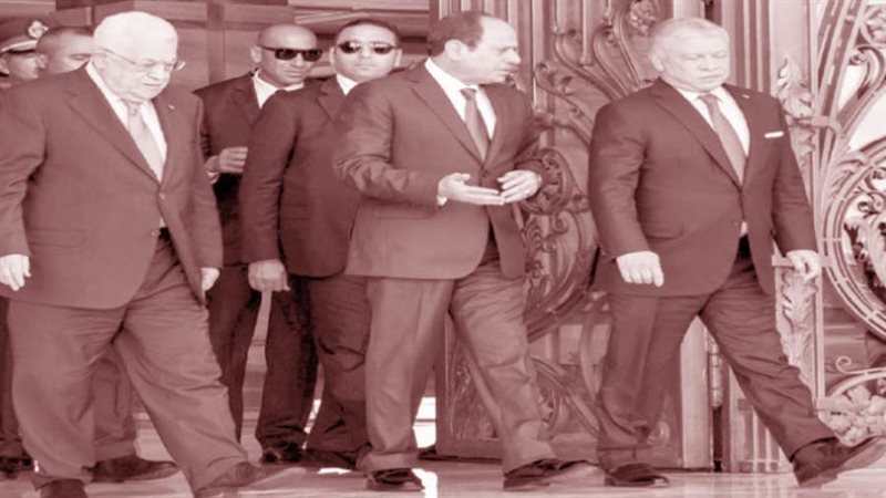 أشادة بالدور المصري