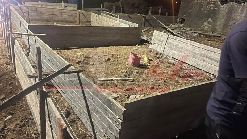 إزالة التعديات