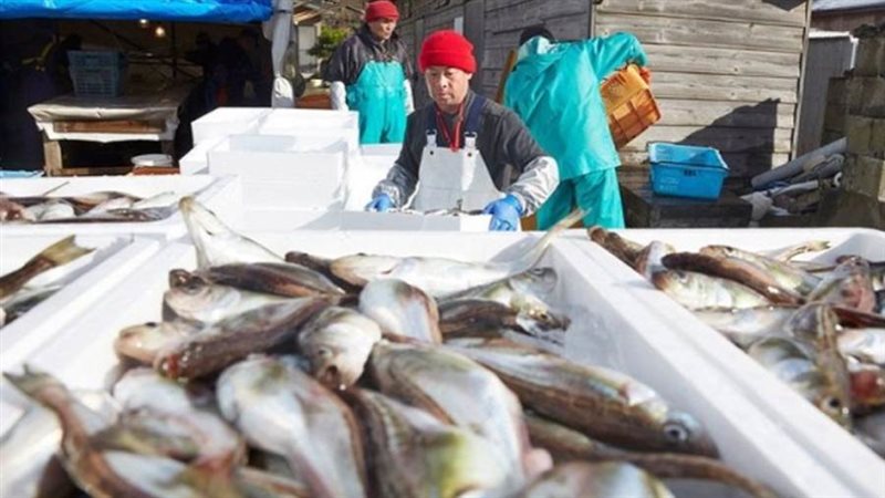 المأكولات البحرية