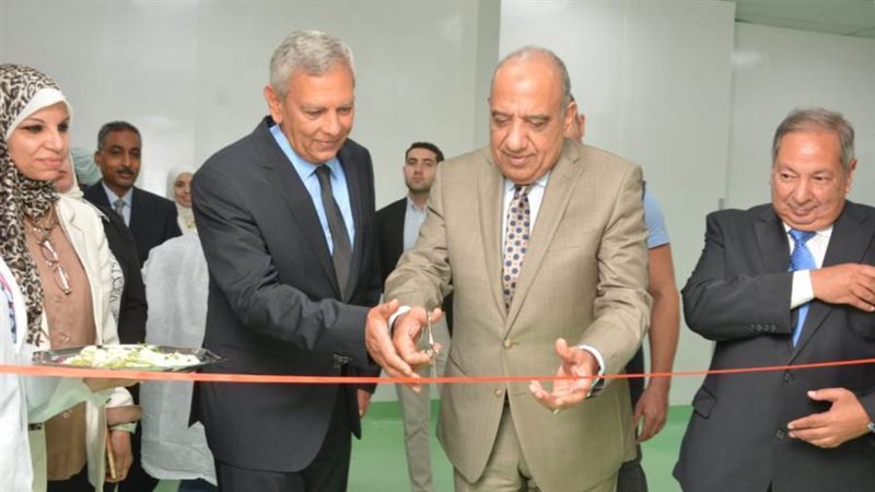 وزير قطاع الأعمال