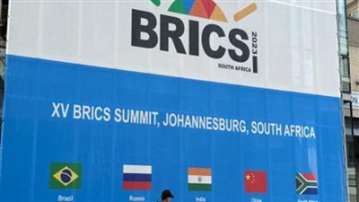    وكيل مجلس الشيوخ: انضمام مصر لمجموعة 