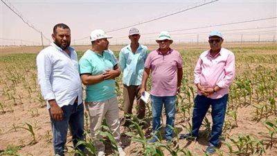 الحملة القومية للنهوض بمحاصيل الذرة الشامية والرفيعة في جولة بباريس الوادي الجديد