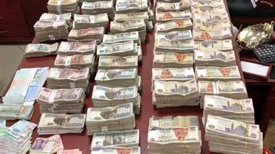 اتخاذ الاجراءات القانونية حيال موظف حكومي لغسله 20 مليون جنيه حصيلة نشاطه الإجرامي
