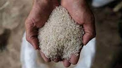 عاجل| الحكومة تكشف حقيقة عجز المعروض من الأرز بالأسواق.. وكميات المخزون الاستراتيجي