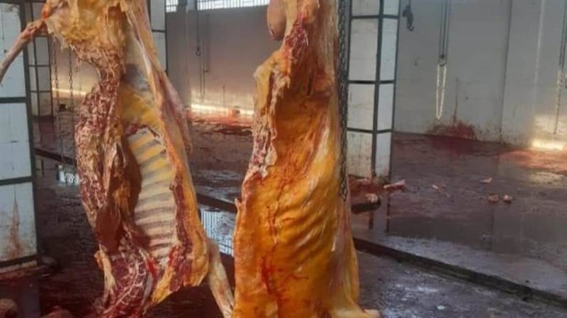 إعدام رأس ماشيه