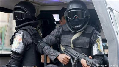 سرقة 28 قطعة من الأغنام بمركز الحامول بكفر الشيخ