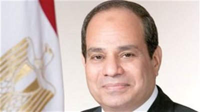 الأحزاب السياسية تشكل لجانًا لدعم الرئيس فى المحافظات