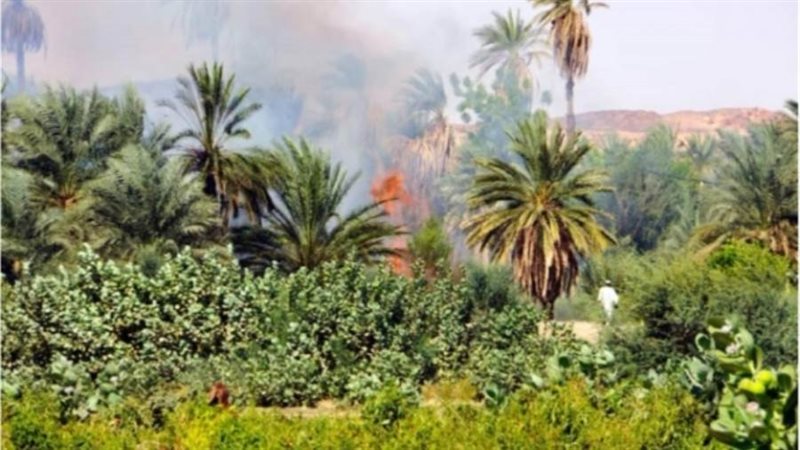 عقوبات رادعة لحرق