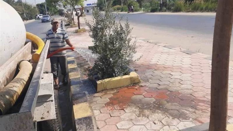 زراعة أشجار مثمرة