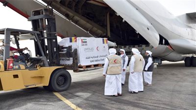 وصول طائرة مساعدات إماراتية الى امدجراس التشادية