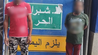 ضبط شخصين بالجيزة يسرقان اللوحات الإرشادية من الطرق العامة